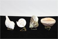 Lot of Four Various Seashells with Stands