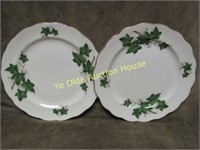 Royal Kent Bone China England Green Ivy Plate Pair