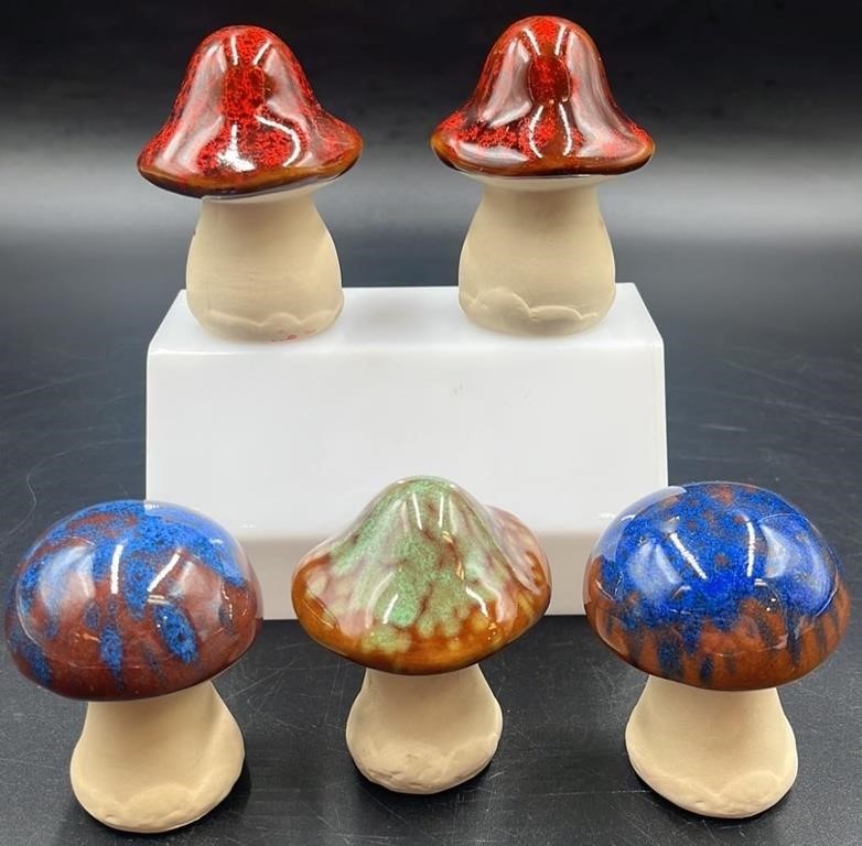 Terra Cota Drip Glaze Mushroom Set (5)