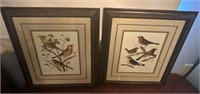 Pair of Framed Bird Artwork