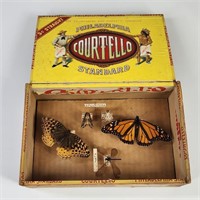 ANTIQUE INSECT DISPLAY IN CIGAR BOX