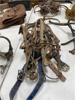Pile of Harnesses & Straps
