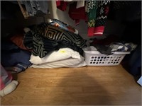 All pillows, blankets, misc in closet
