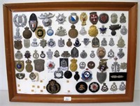 Panel of various World police cap badges (73)