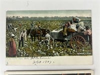 Antique postcards Cotton Field and more