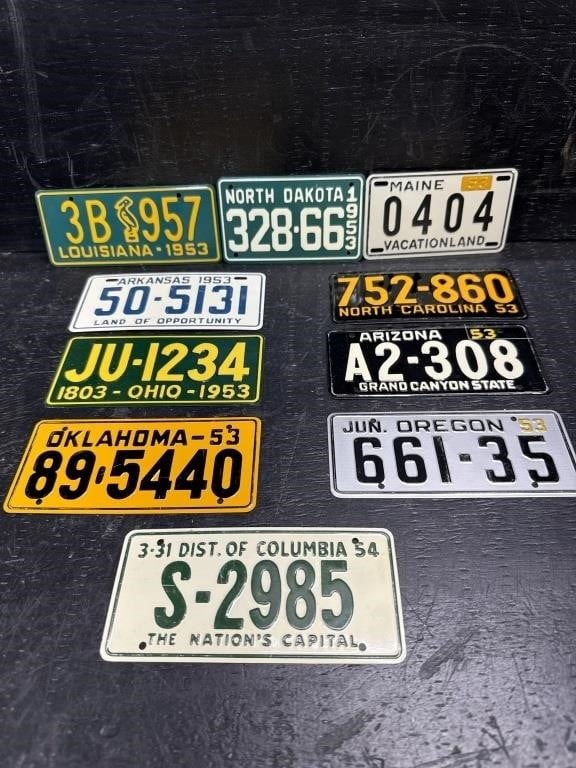 LOT OF 10 CONTEMPORARY BICYCLE LICENSE PLATES