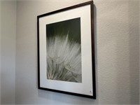 FRAMED PRINT