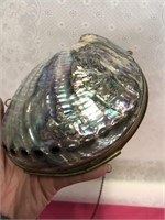 Gorgeous Abalone Shell & Brass Purse
