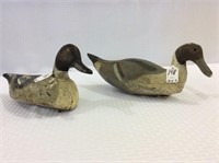 Lot of 2 Pintail Drakes Including