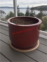 Large Planter pot (Upstairs back Patio)