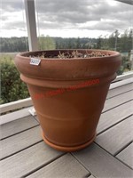 Large Planter Pot (Upstairs back Patio)