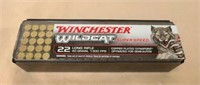 Winchester Wildcat 22 Long shell