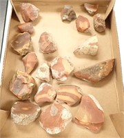 (19) PIECES OF BRUNO CANYON JASPER