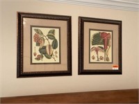 Framed Set of Botanical Study Prints