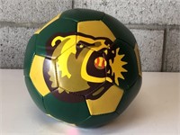 Fresno Grizzlies Soccer Ball by Rawlings