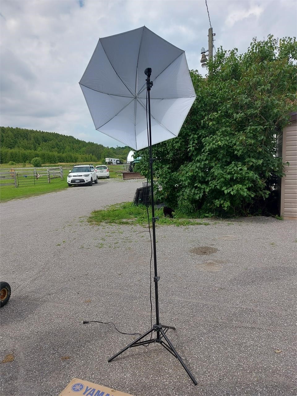 Photography Light / Umbrella ?