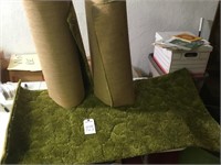 3 54" long rugs (green shag)