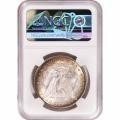 Morgan Silver Dollar 1891-O MS63 NGC Toned