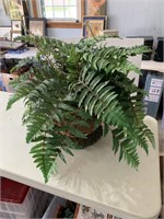 Large Faux Fiddle Fern in Wicker Basket