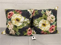 2 Canaan Company Duck Feather Pillows