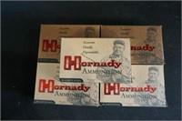 6 Boxes Horniday Ammo