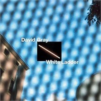 David Gray White Ladder (Vinyl)