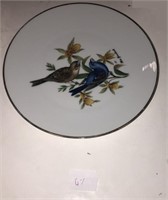 Bird Plate