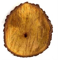 Oak Wood Log Circle Slab