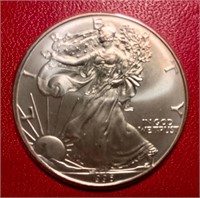 1996 UNC Silver Eagle New Silver Dollar Hard Date