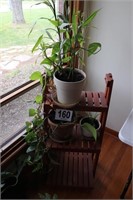 (3) Live Plants with Plant Stand(R2)