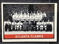 74-75 OPC Atlanta Flames Team Card #377