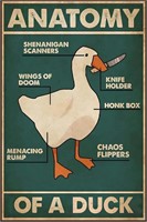 Metal Tin Sign Anatomy Of A Duck Retro Poster