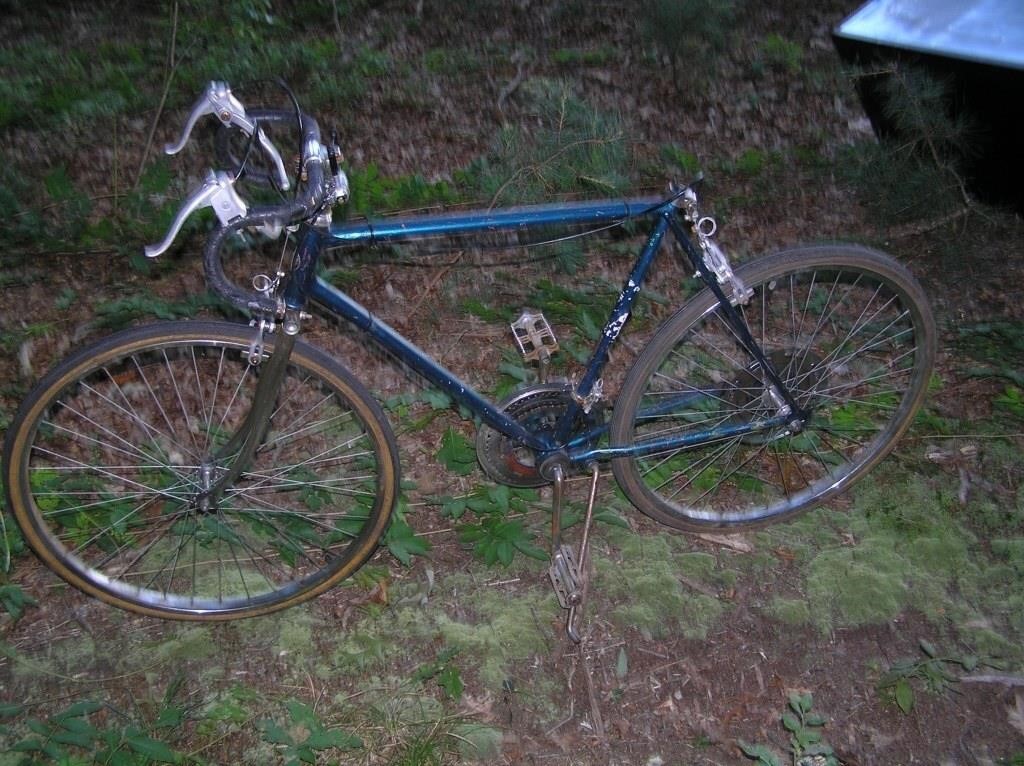 Vintage Schwinn 10 speed circa 1960s