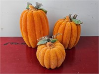3 Pumpkins-See Pictures