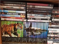 Large DVD Collection