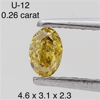 $450  Rare Fancy Natural Color Diamond(0.26ct)