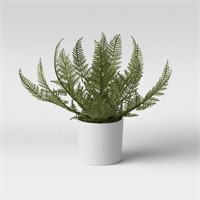 8x11 Fern Arrangement in Pot - Threshold