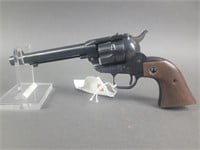 Ruger .22 Cal Revolver