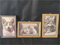 Antique Cat Squeaker & Eyeball Postcards in Frames