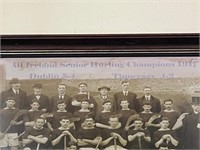 Hurling Ireland Champions 1917 Dublin, Framed
