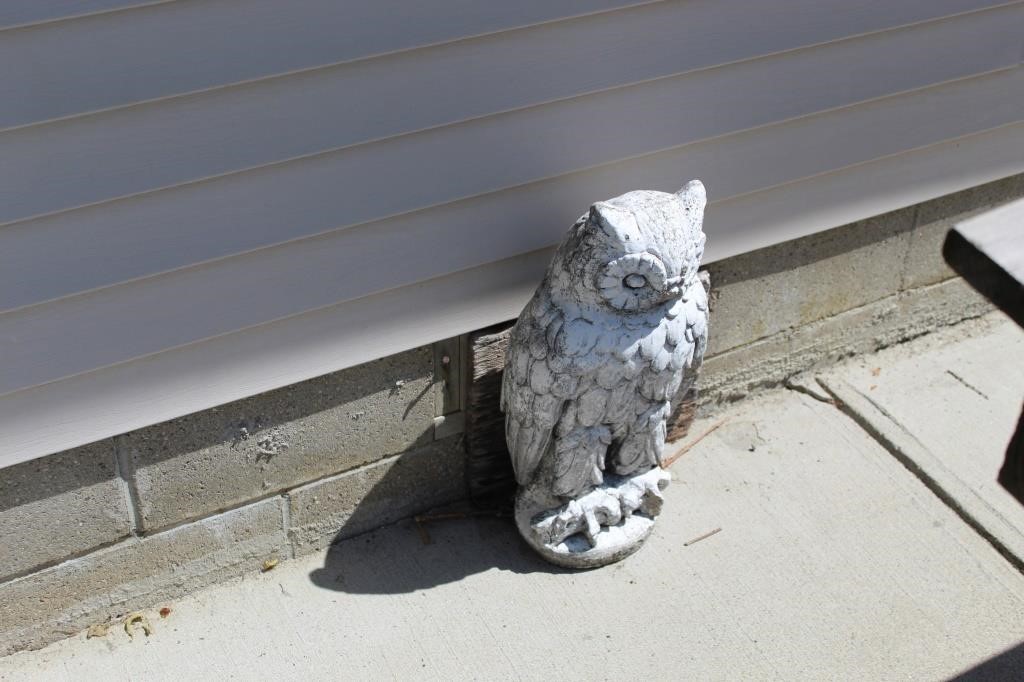 Concrete owl