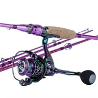 Spinning/Casting Fishing Rod and Reel