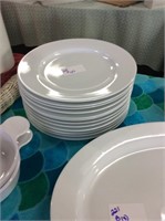 Every day white dinner plates