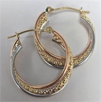 $600 14K  1.35G  Earrings