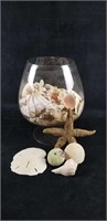 Nautical Seashell Glass Bowl