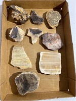 Flat of petrified wood