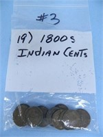 (19) 1800's Indian Cents