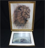 Framed Lion & Baby Seal Prints