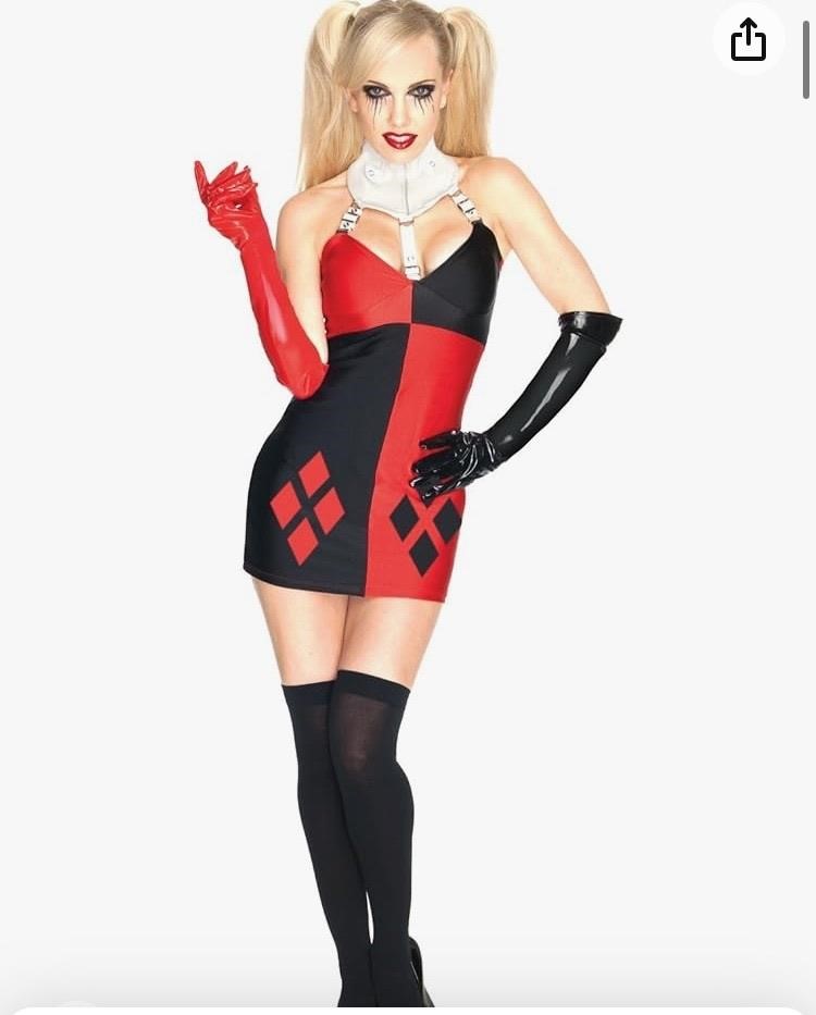 Secret wishes Harley Quinn large