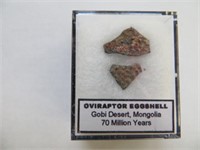ORIGIN GOBI DESERT MONGOLIA 70 MILLION YEARS OLD